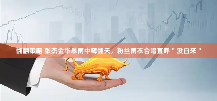 翻翻策略 张杰金华暴雨中嗨翻天，粉丝雨衣合唱直呼＂没白来＂