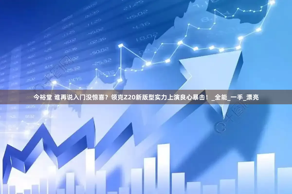 今裕堂 谁再说入门没惊喜？领克Z20新版型实力上演良心暴击！_全能_一手_漂亮