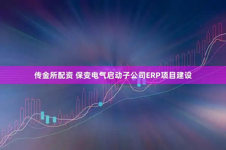 传金所配资 保变电气启动子公司ERP项目建设